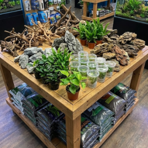 Hardscape pour betta